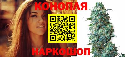 ALPHA PVP Ачхой-Мартан