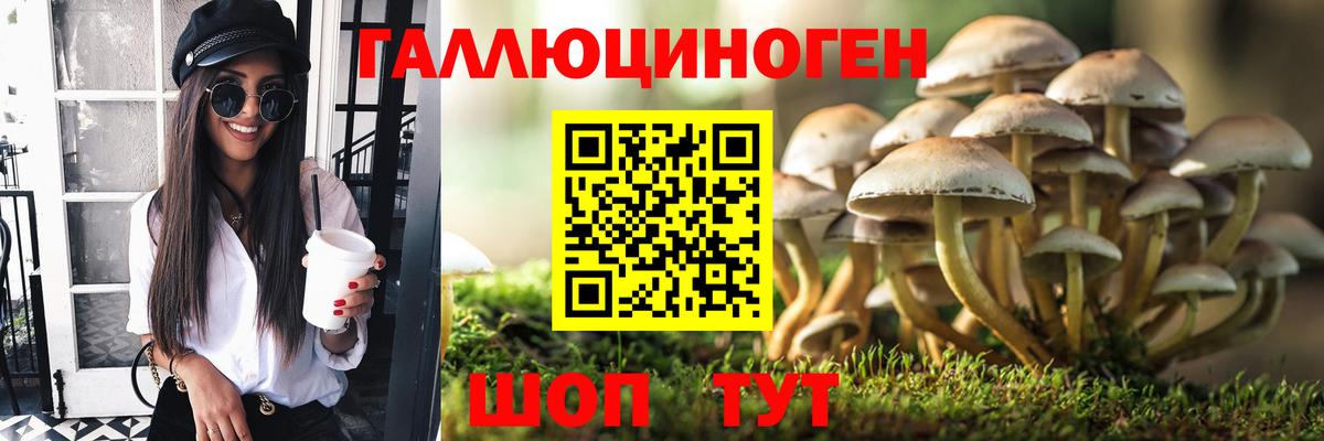 Галлюциногенные грибы MAGIC MUSHROOMS Железноводск